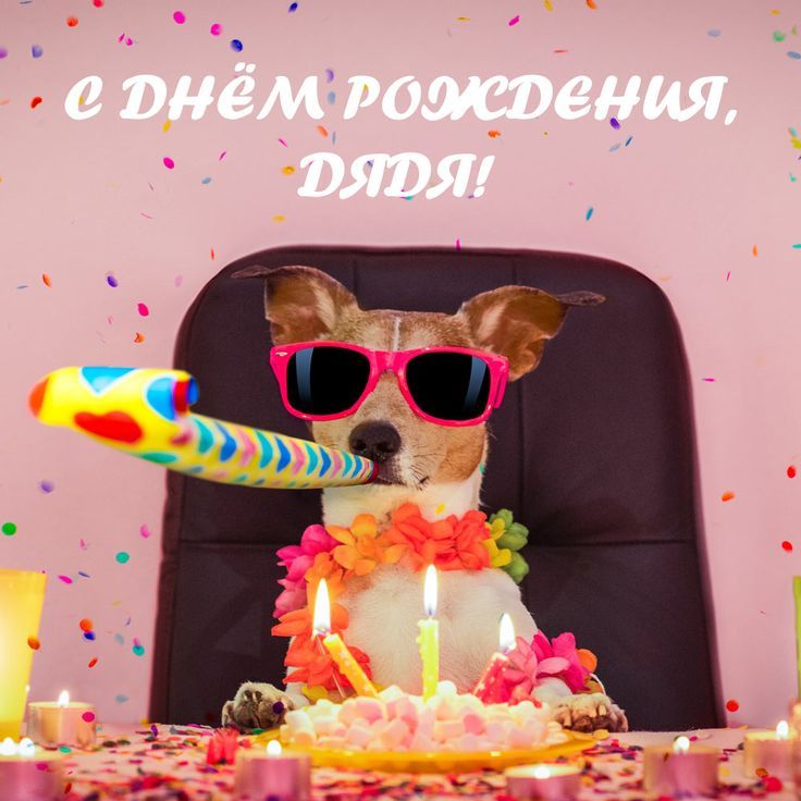 Поздравление с Днем рождения дяде: трогательные слова, искренние эмоции и красивые пожелания